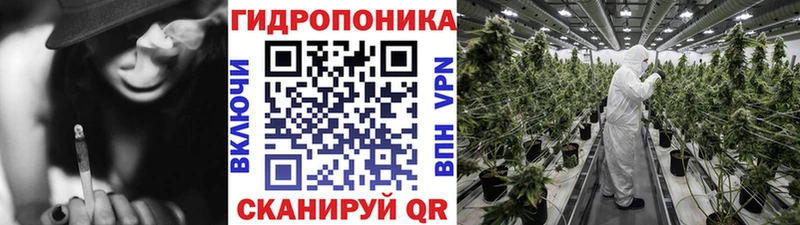 Канабис план  это как зайти  Яранск 